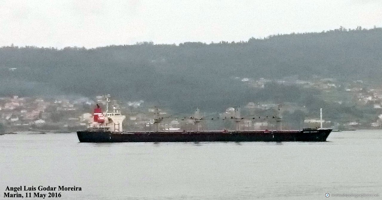 Nordic Bulker 2