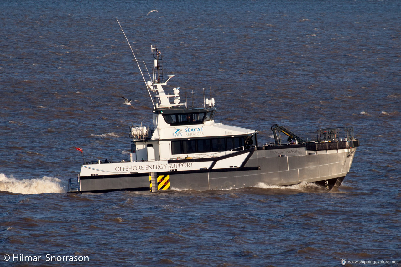 Seacat Magic