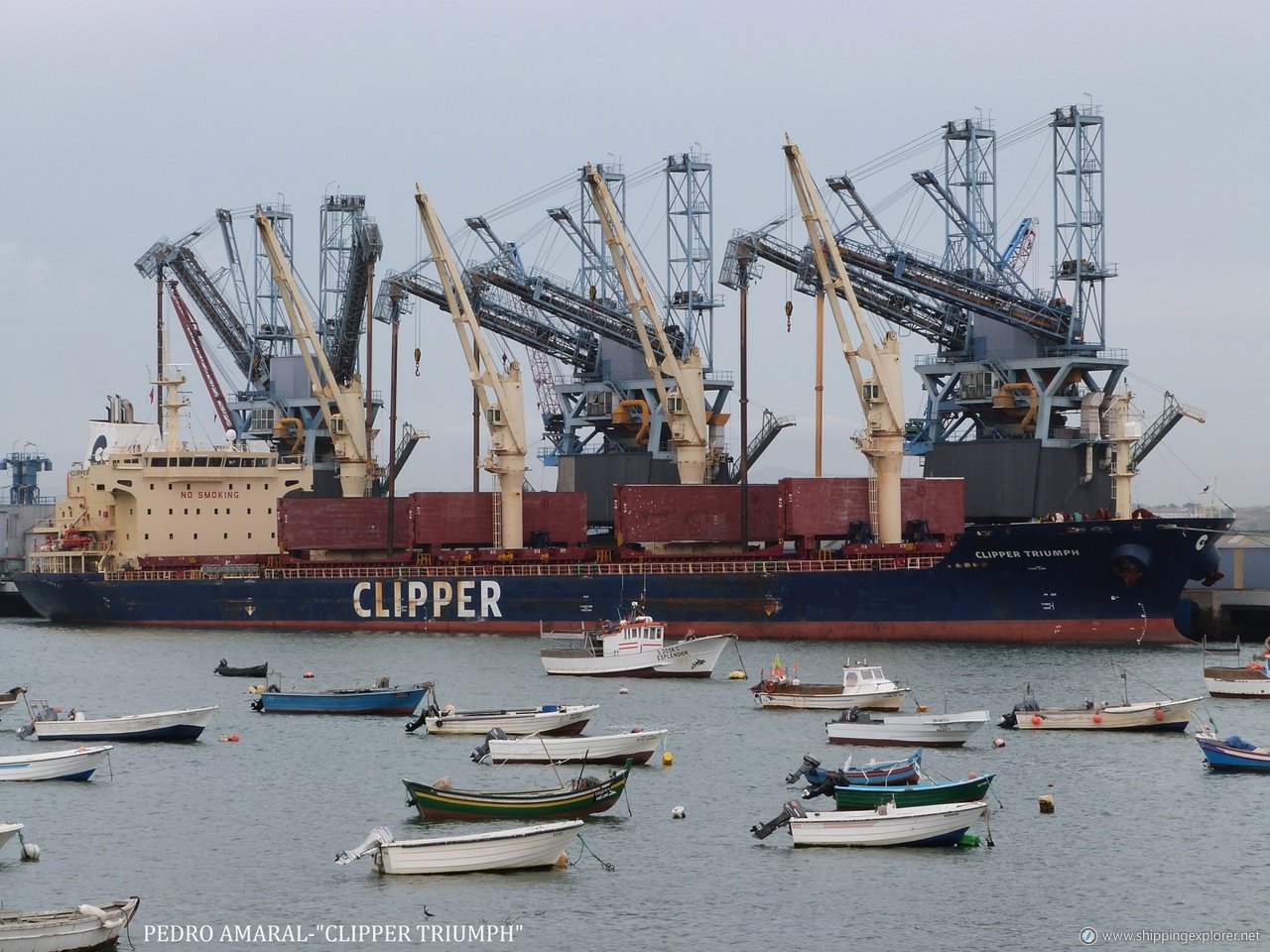 Clipper Triumph