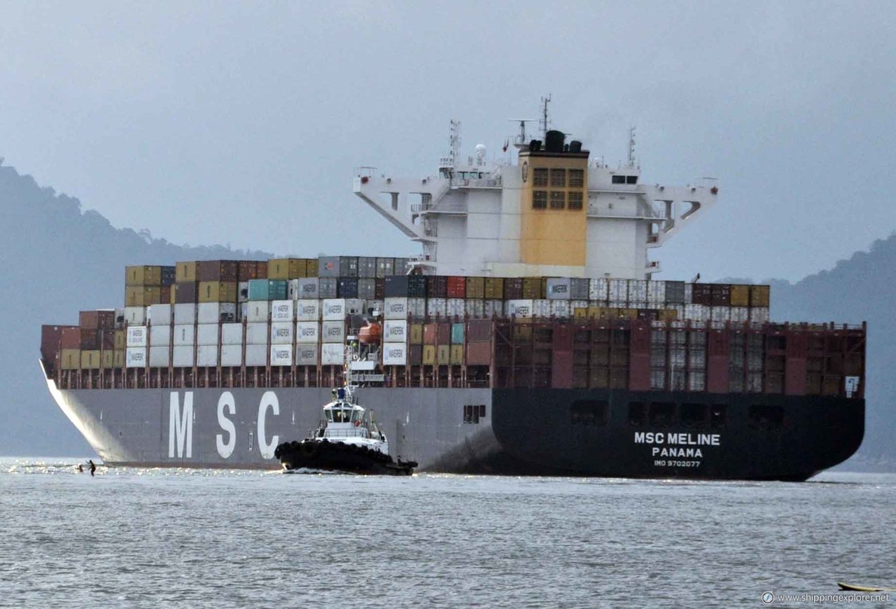 MSC Meline