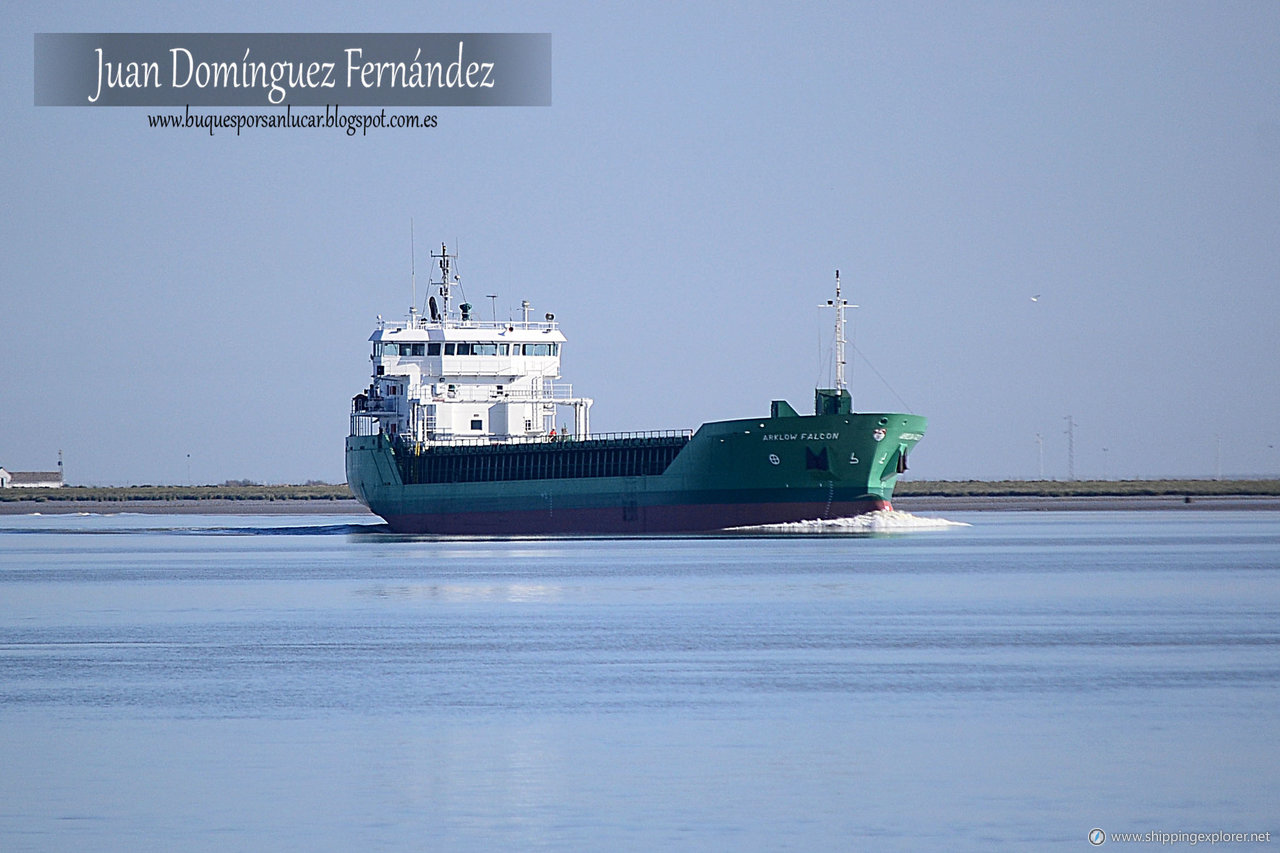 Arklow Falcon