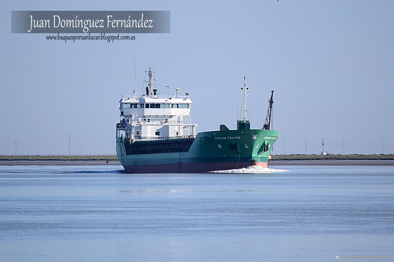 Arklow Falcon