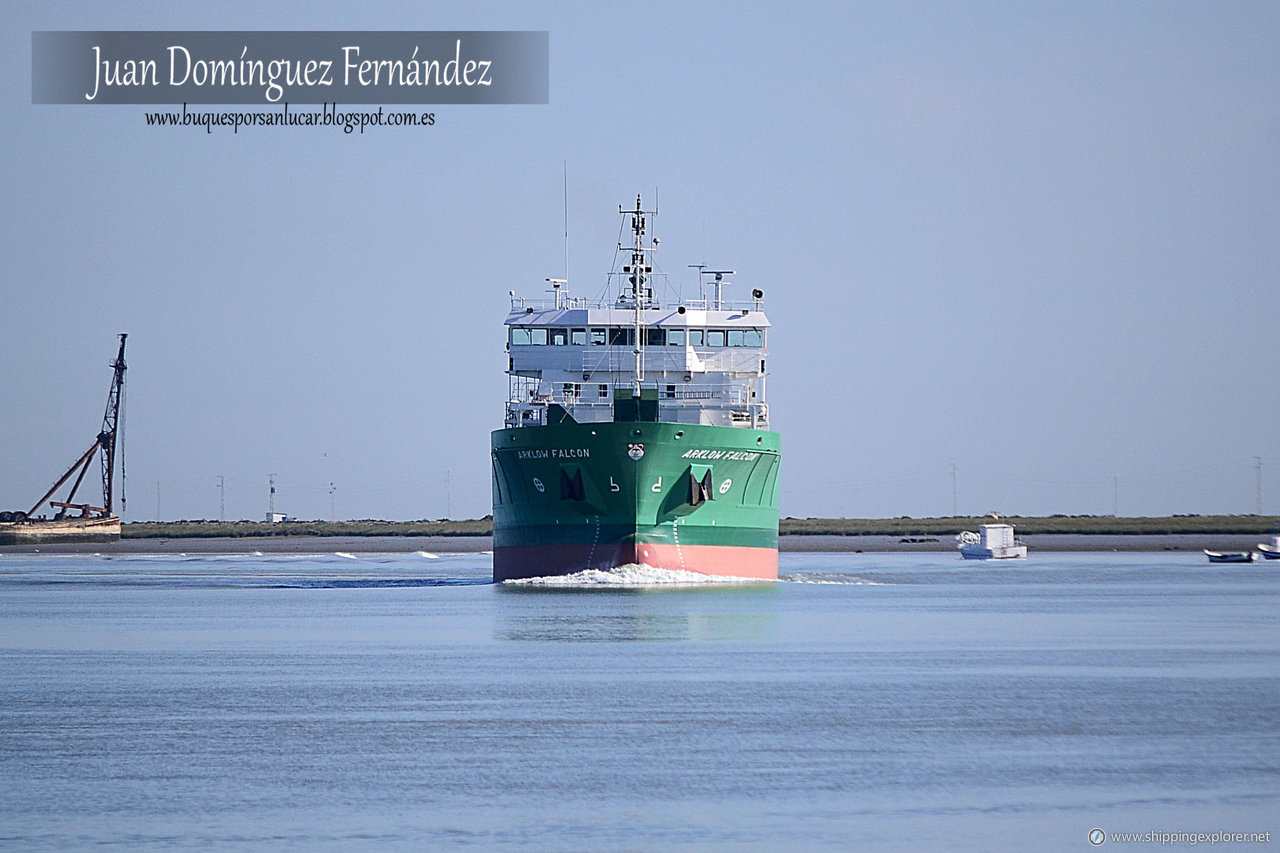 Arklow Falcon