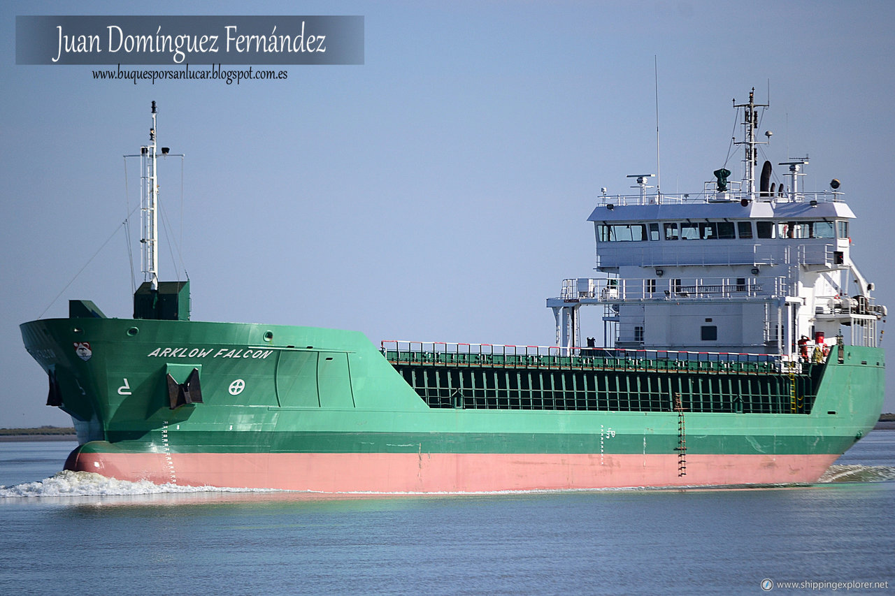 Arklow Falcon