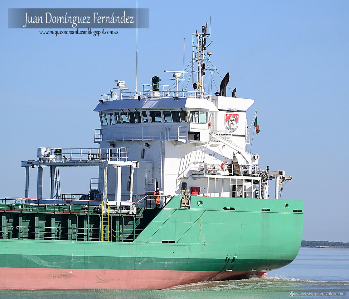 Arklow Falcon