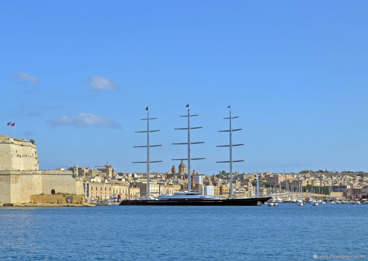 Maltese Falcon