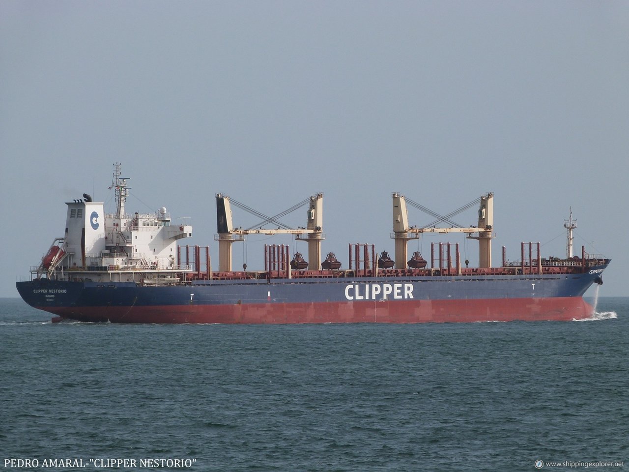 Clipper Nestorio