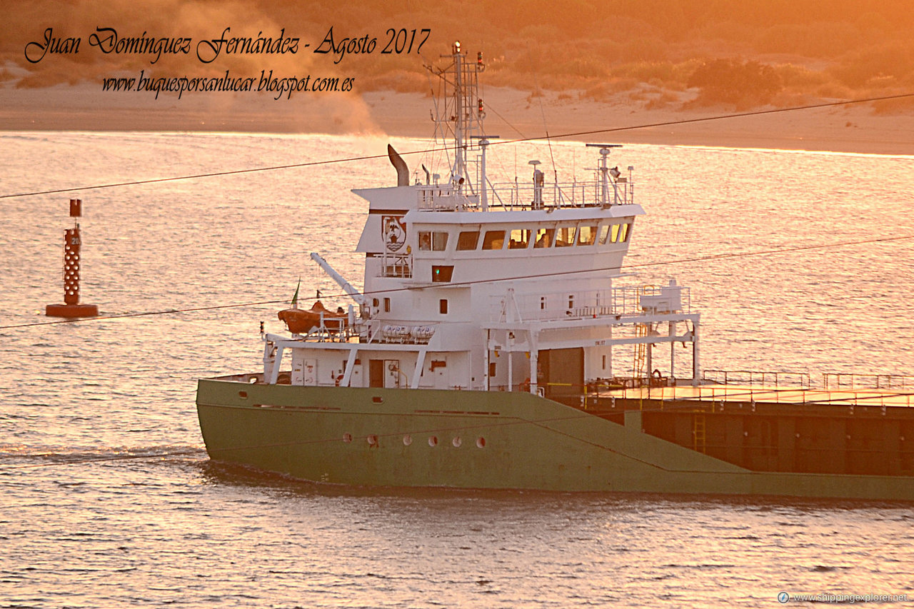 Arklow Rebel