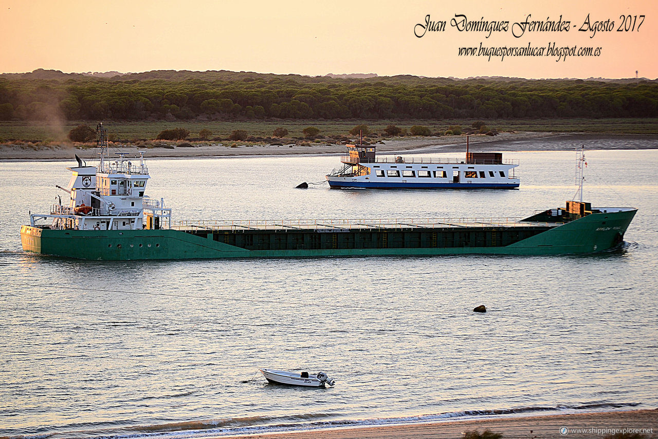 Arklow Rebel