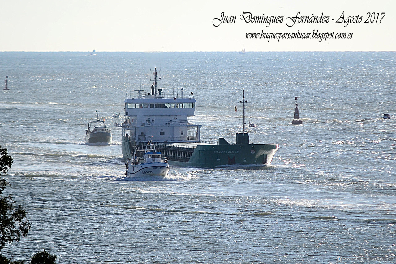 Arklow Falcon