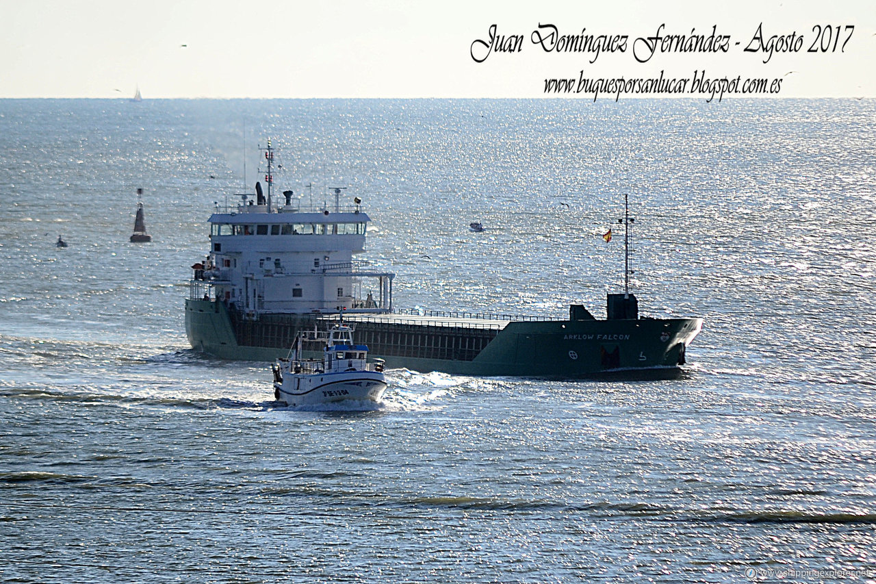 Arklow Falcon