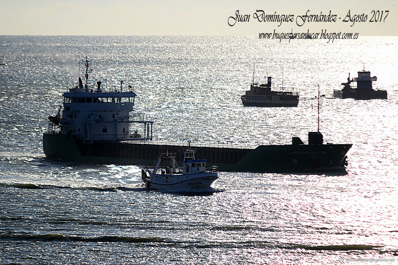 Arklow Falcon