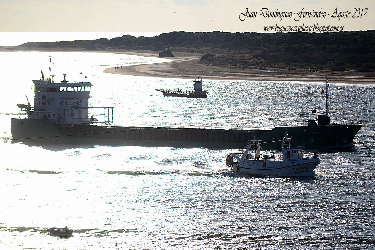 Arklow Falcon