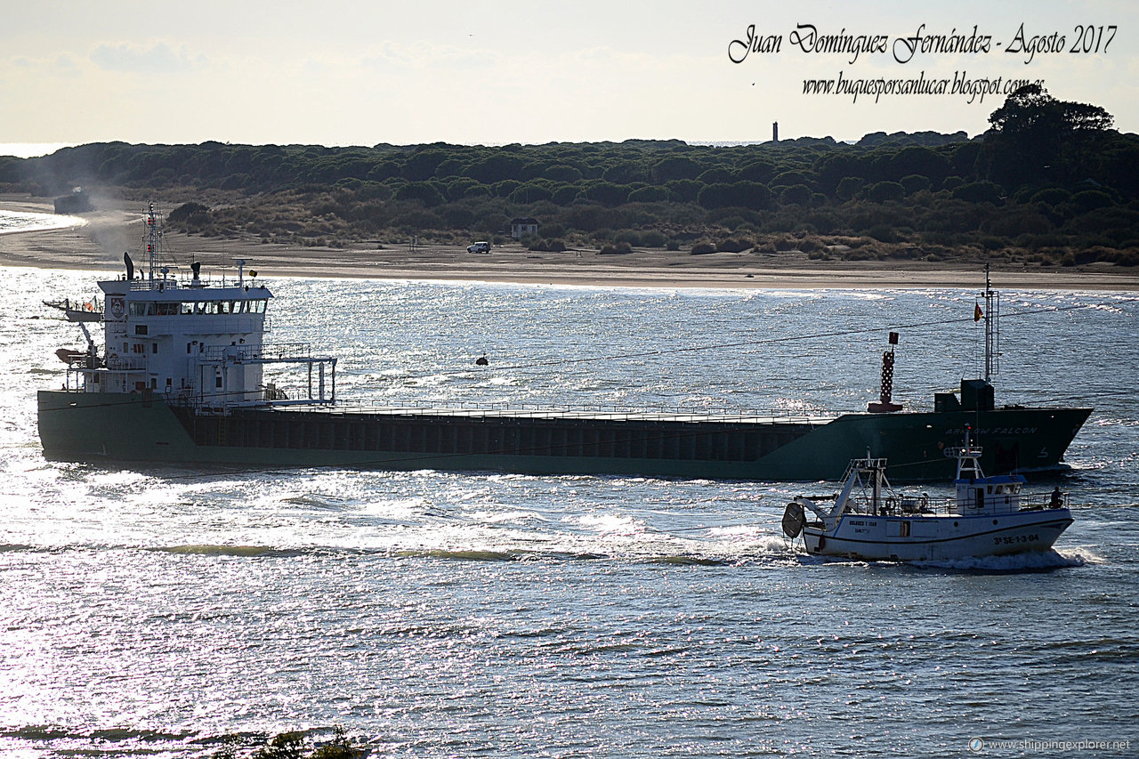 Arklow Falcon