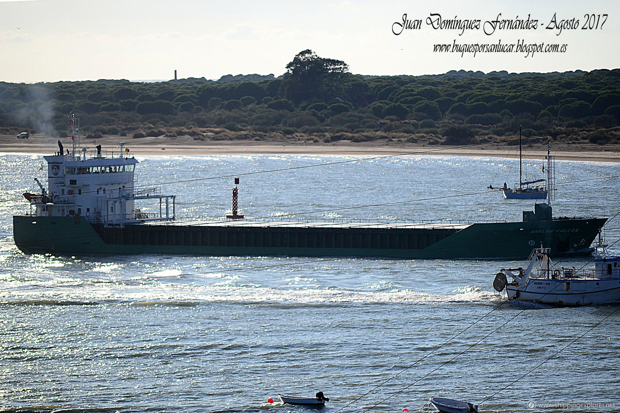 Arklow Falcon