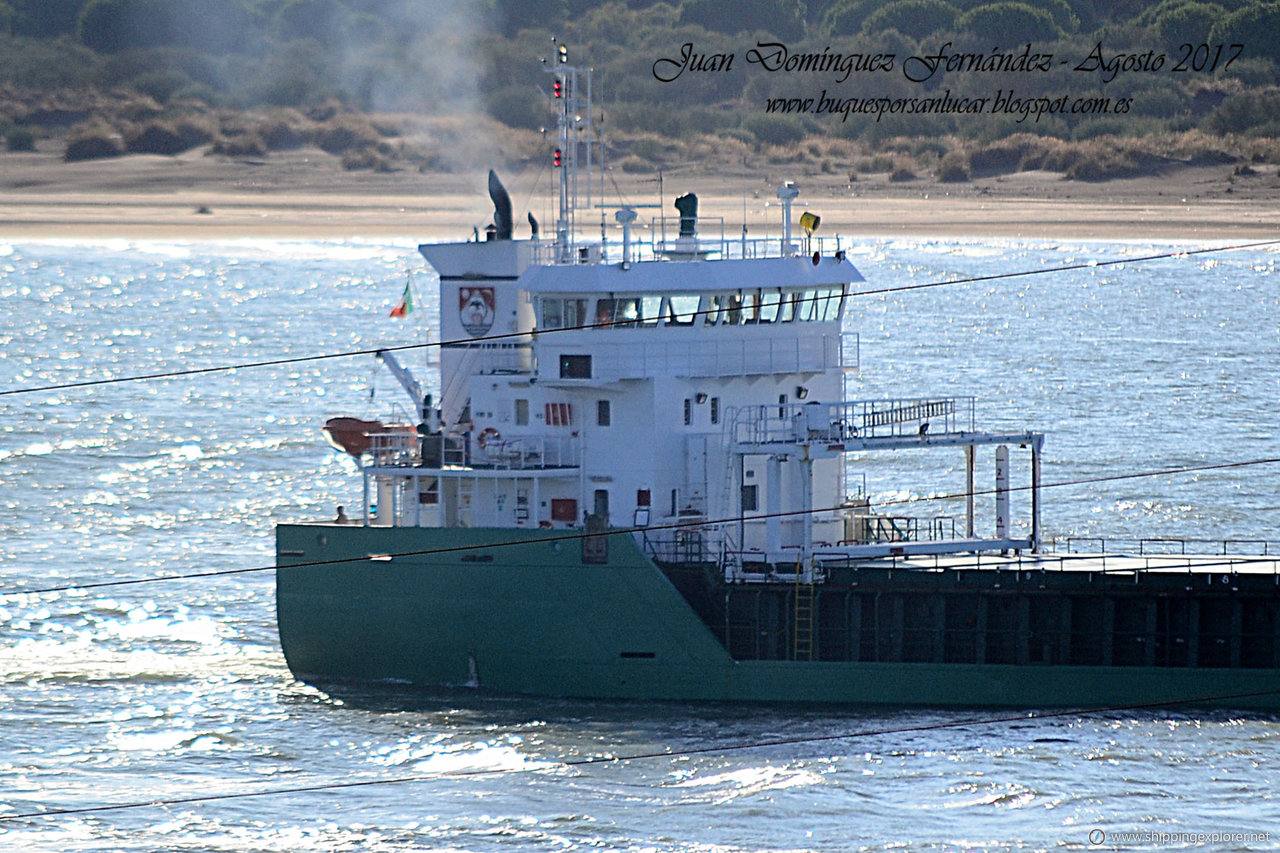 Arklow Falcon