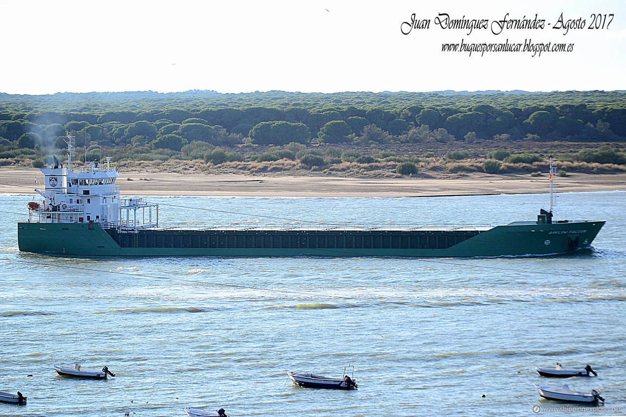 Arklow Falcon