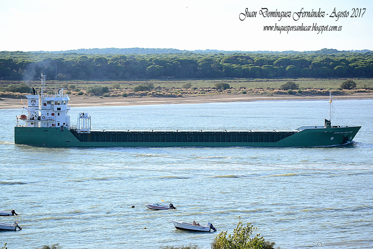 Arklow Falcon