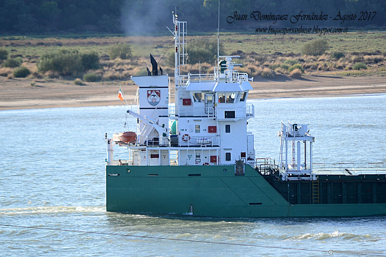 Arklow Falcon