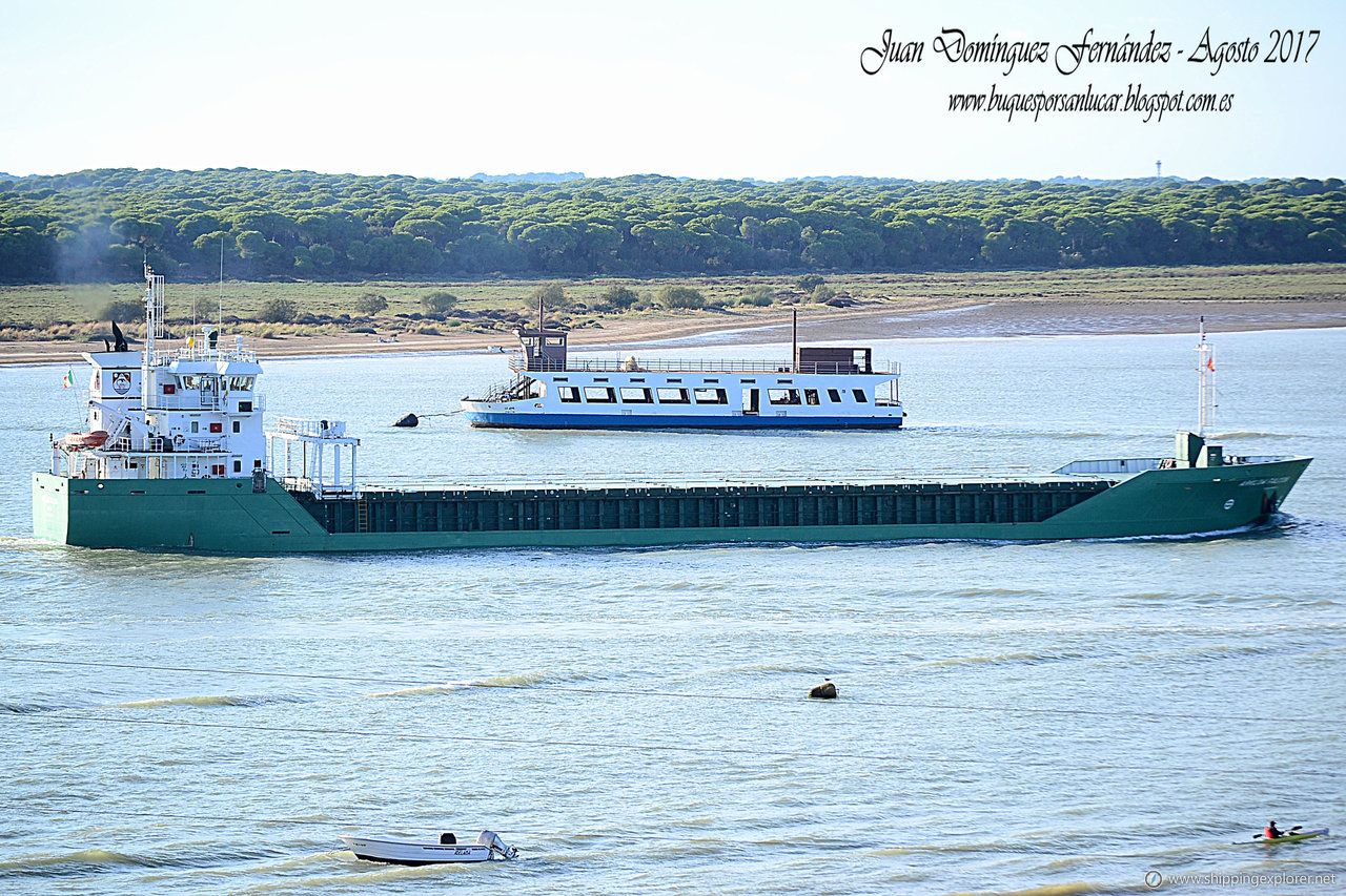 Arklow Falcon