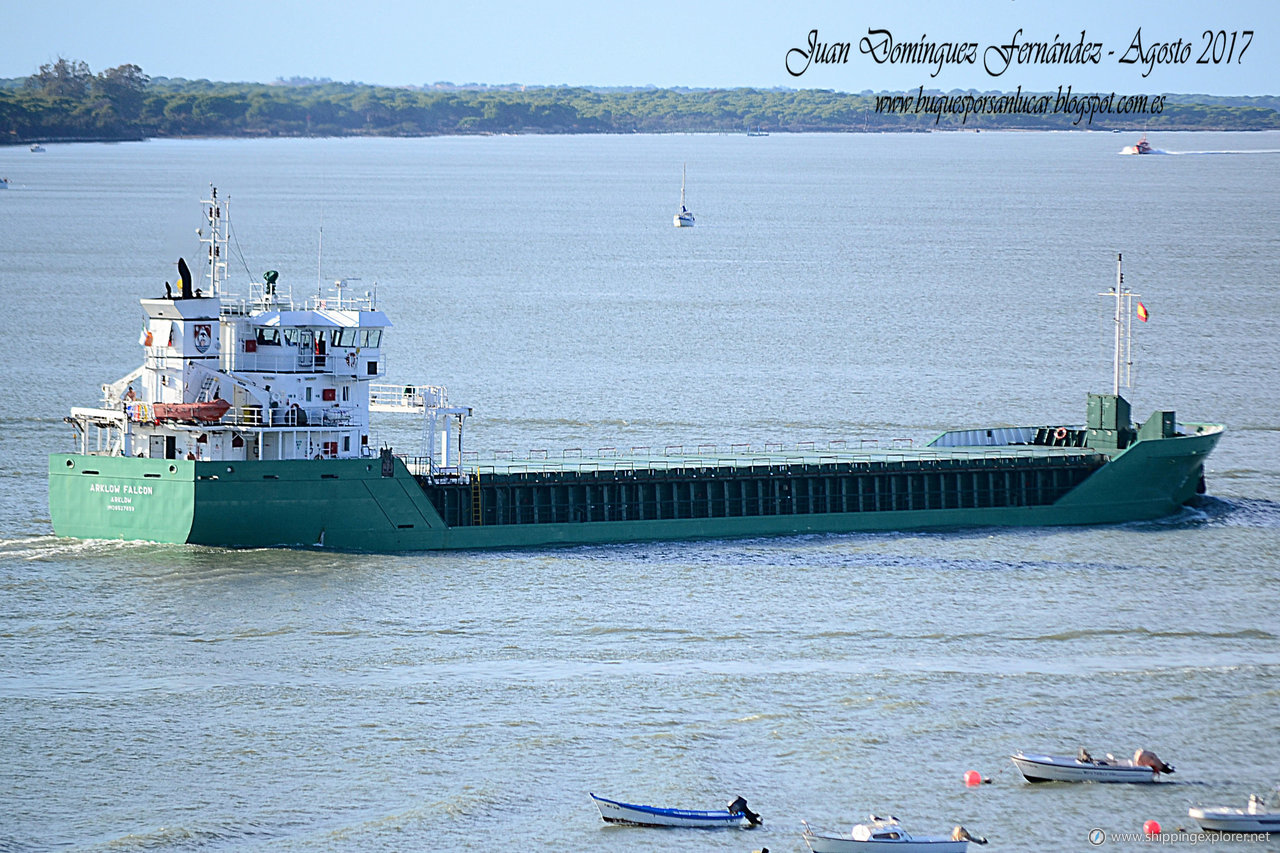 Arklow Falcon