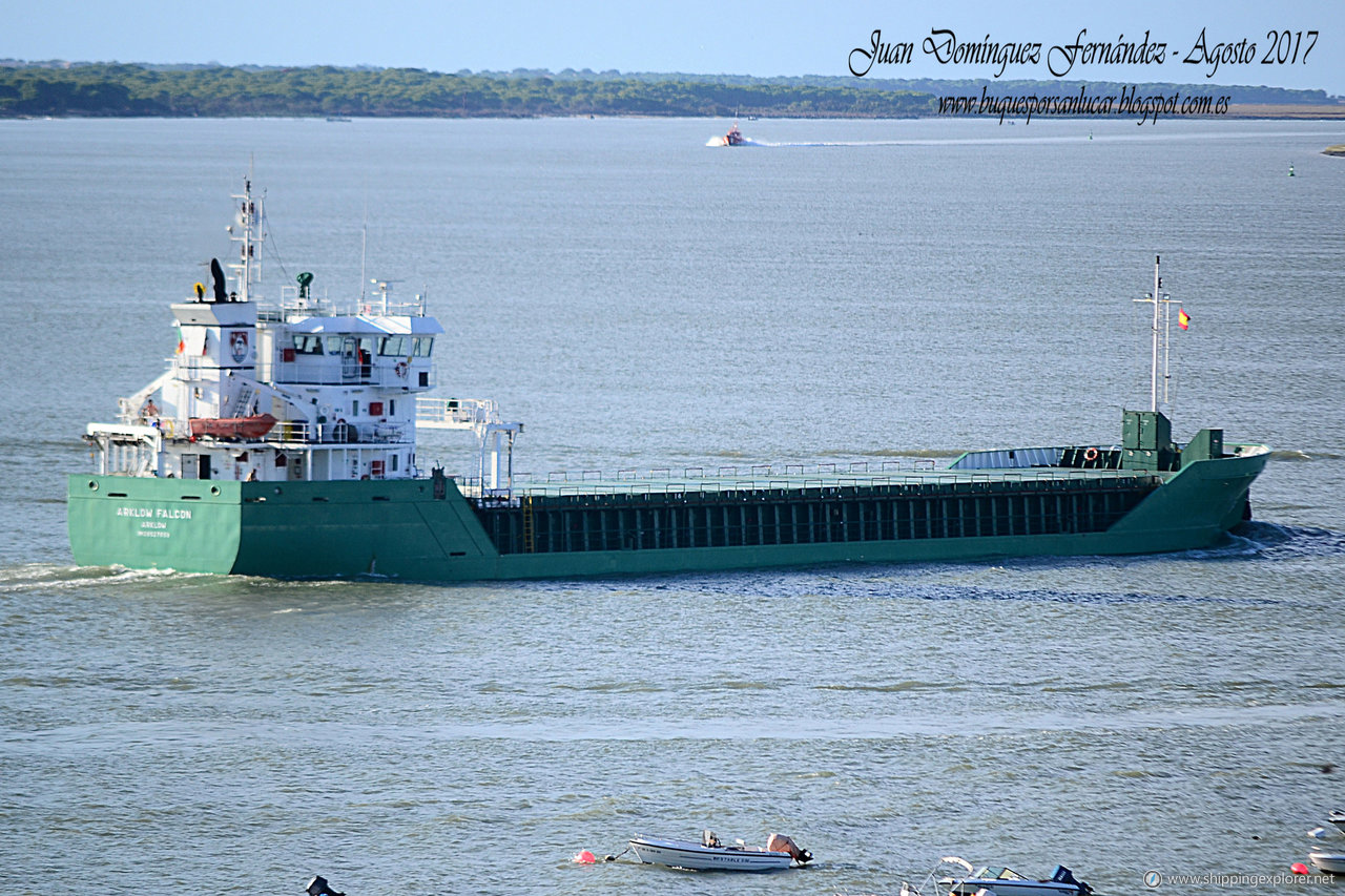 Arklow Falcon