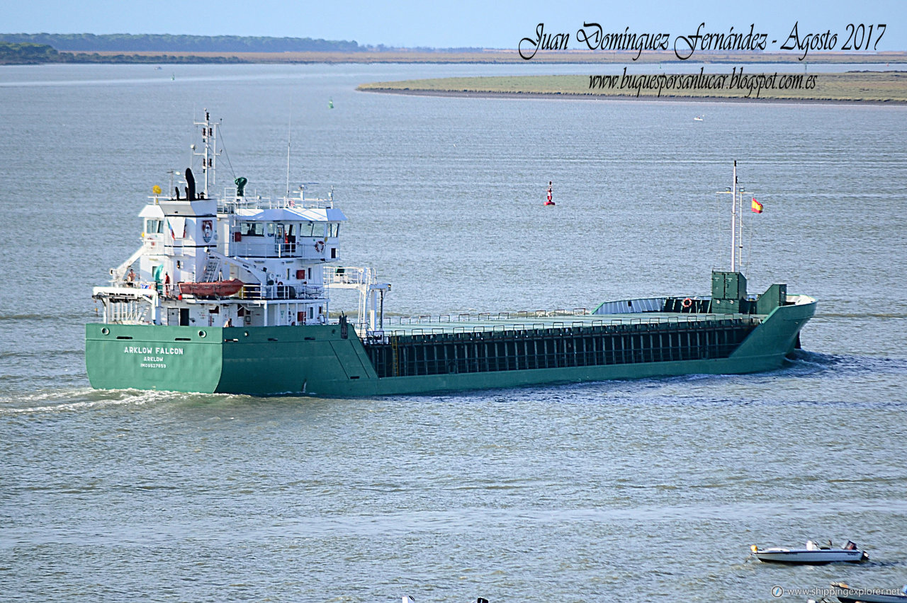 Arklow Falcon