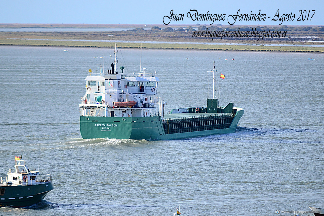 Arklow Falcon