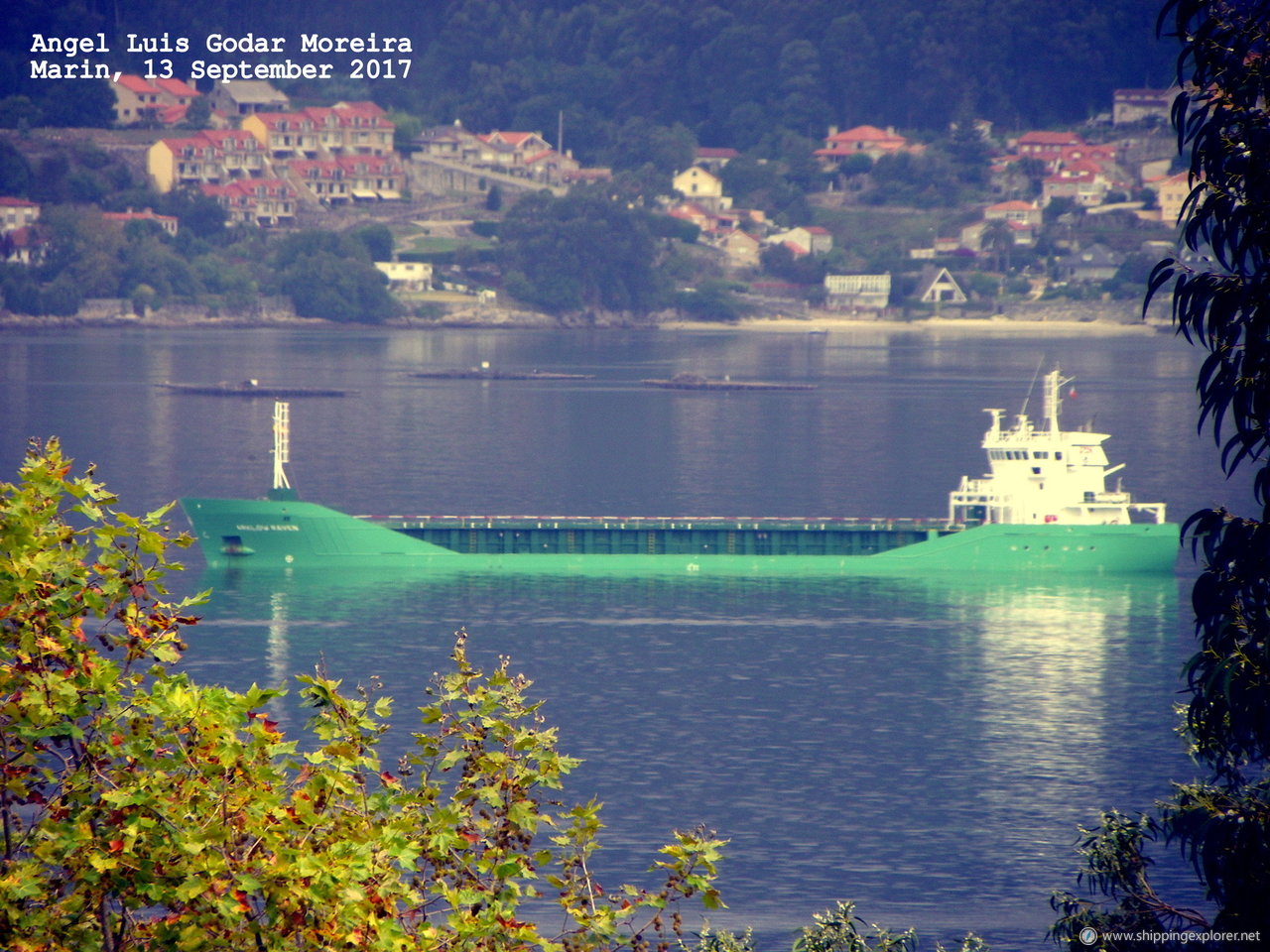 Arklow Raven