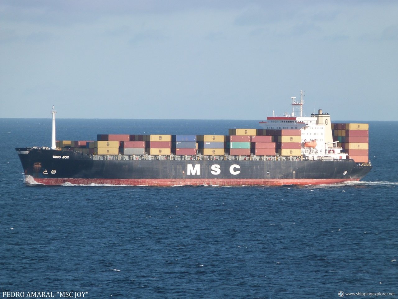 MSC Joy