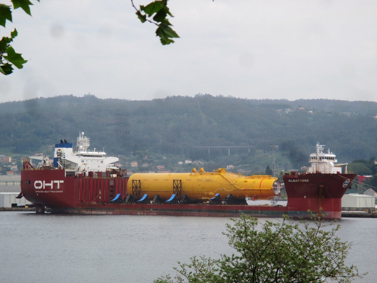 Seaway Albatross