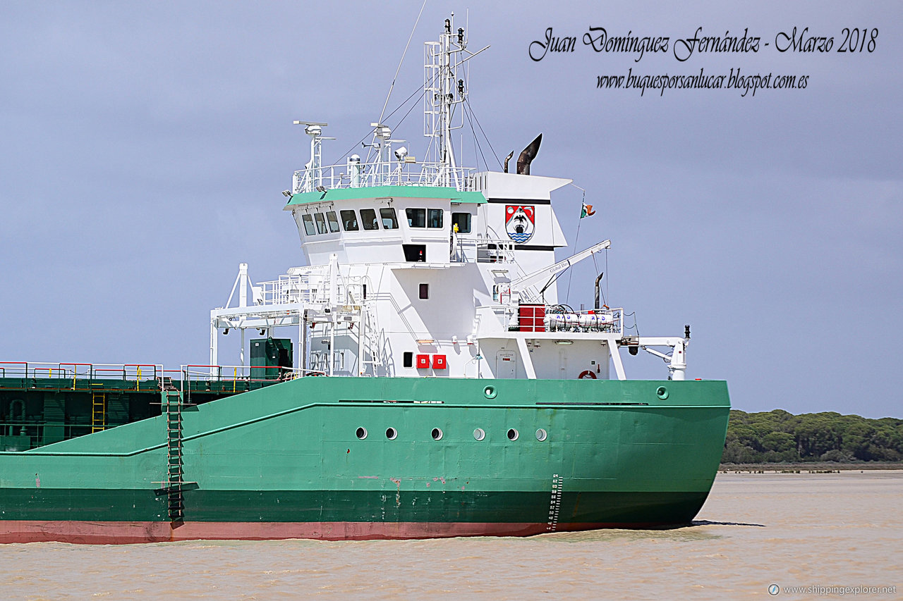 Arklow Raider