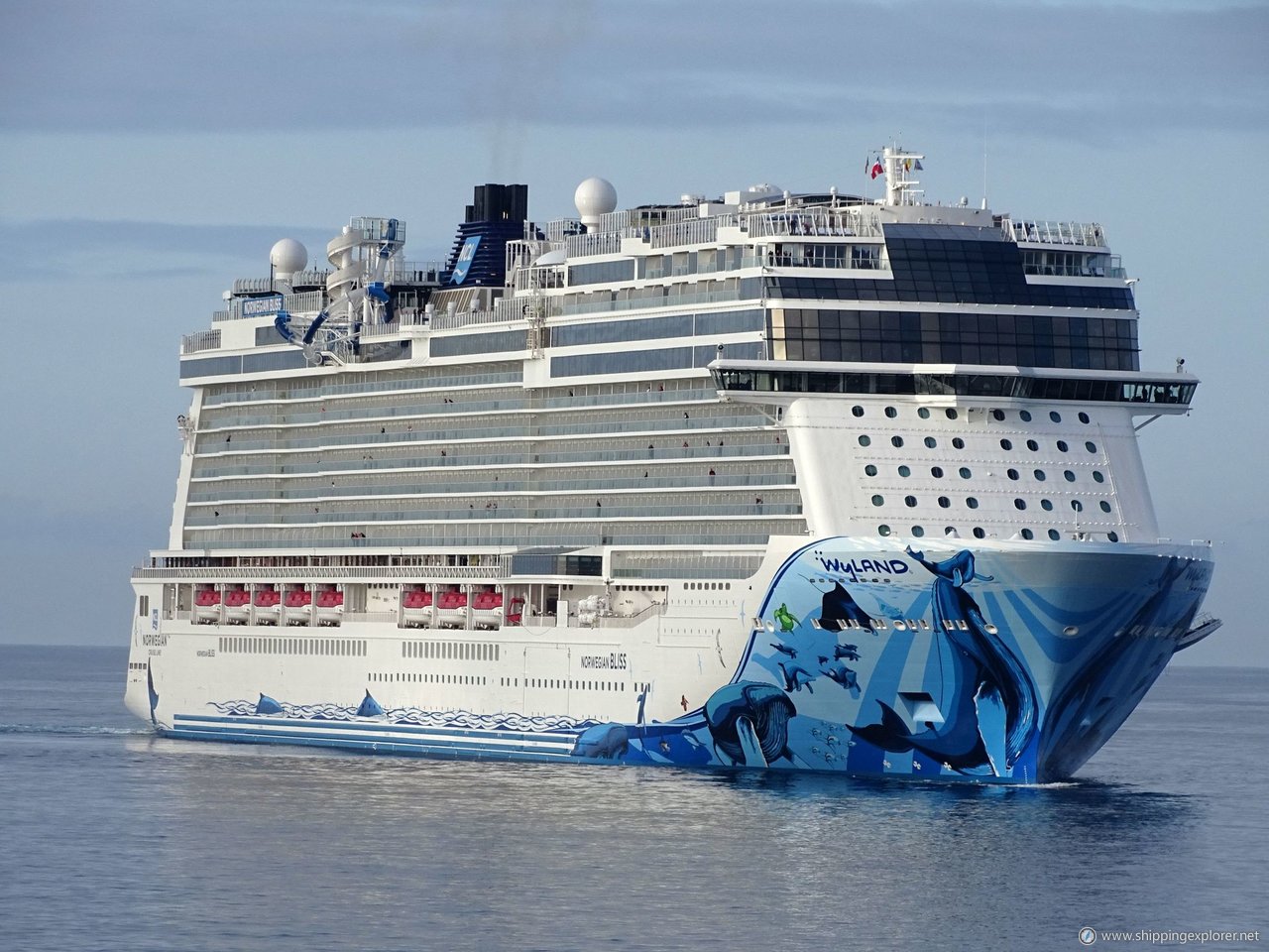 Norwegian Bliss