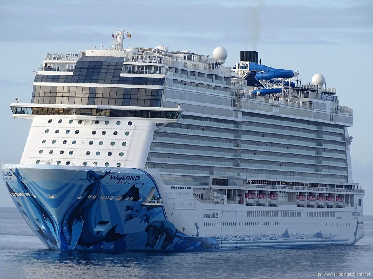 Norwegian Bliss