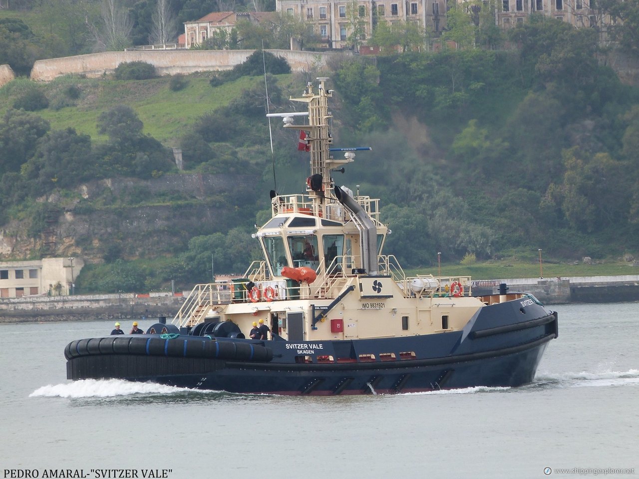 Svitzer Vale