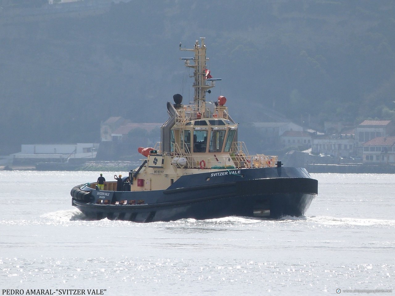 Svitzer Vale