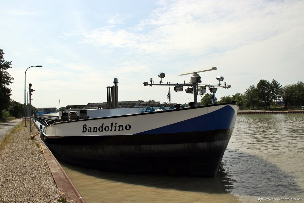 Bandolino