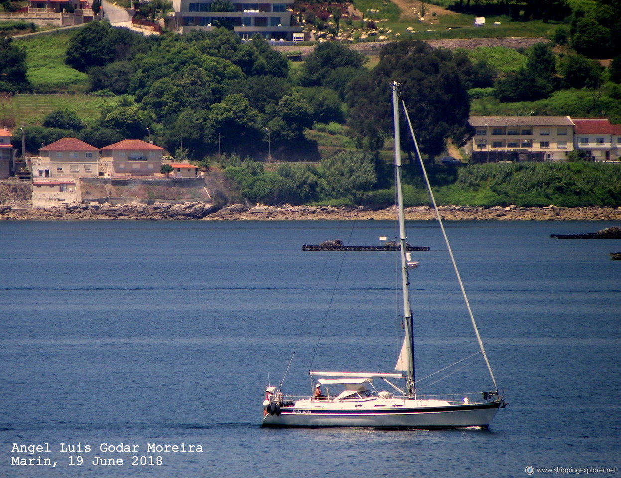 Mola Mola