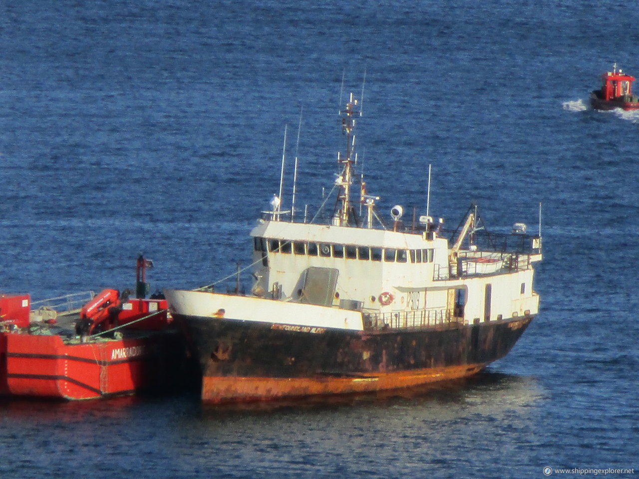 Newfoundland Alert