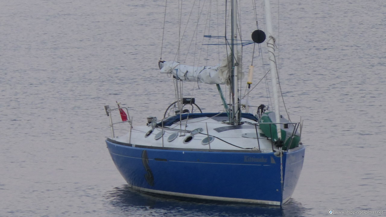 Kittiwake