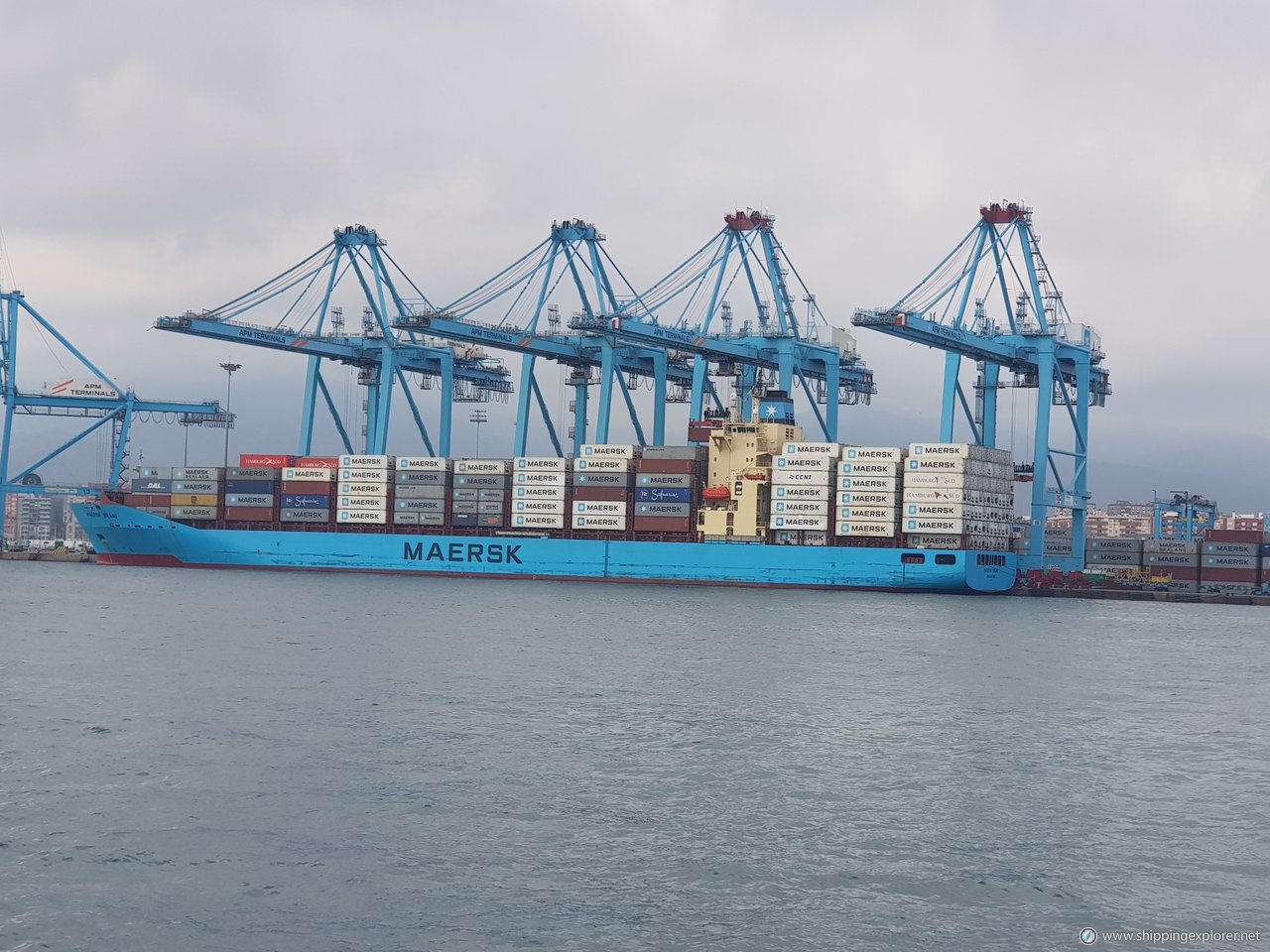 Maersk Brani