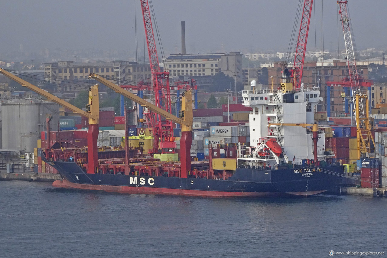 MSC Talia F