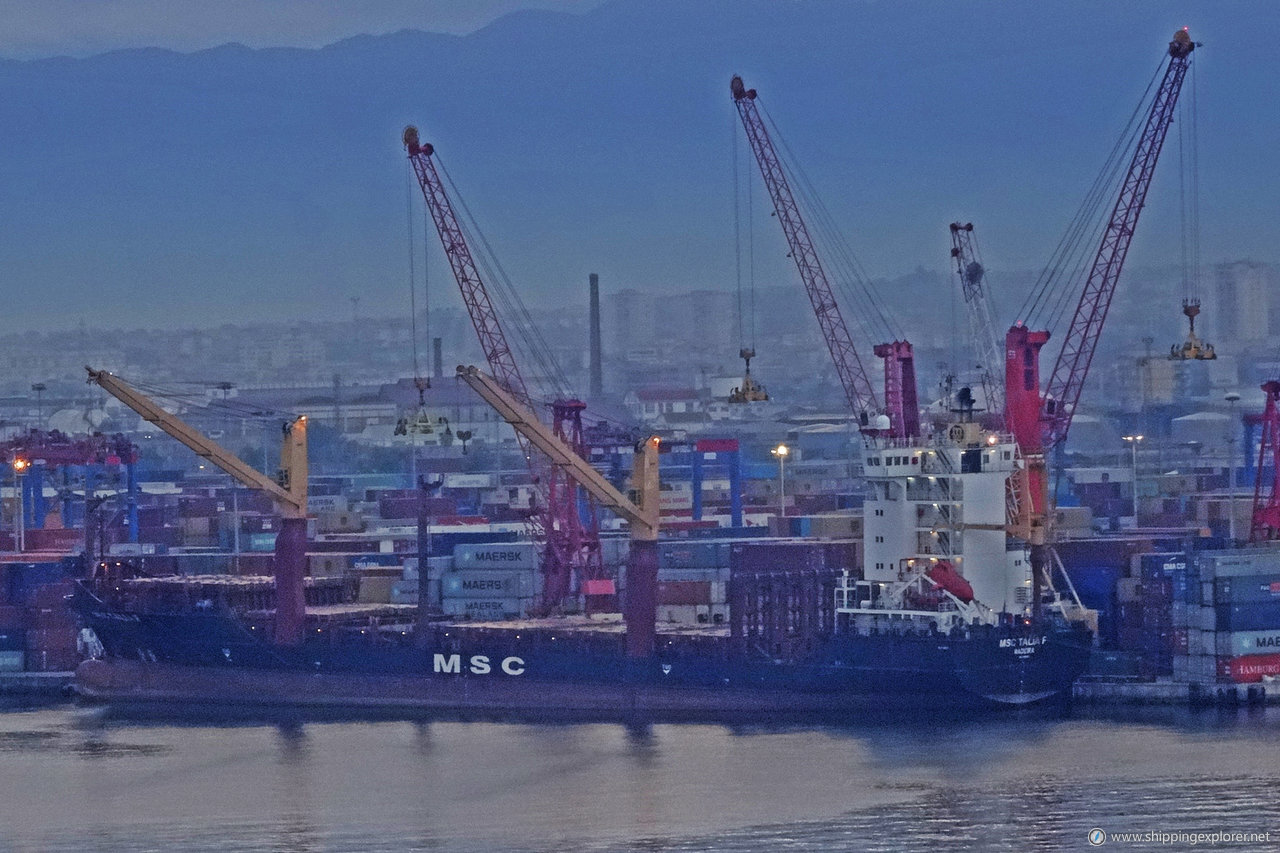 MSC Talia F