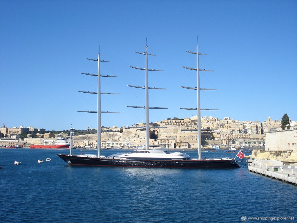 Maltese Falcon