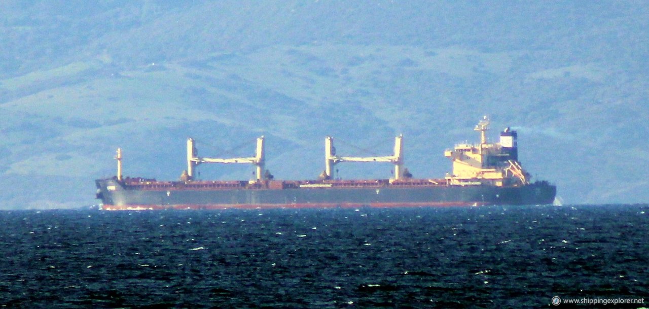 Egret Bulker