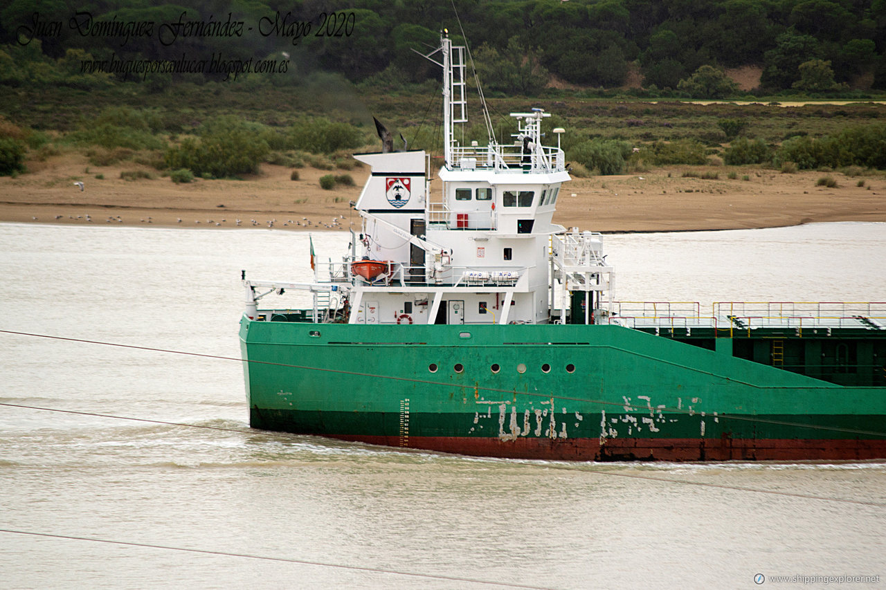 Arklow Rebel