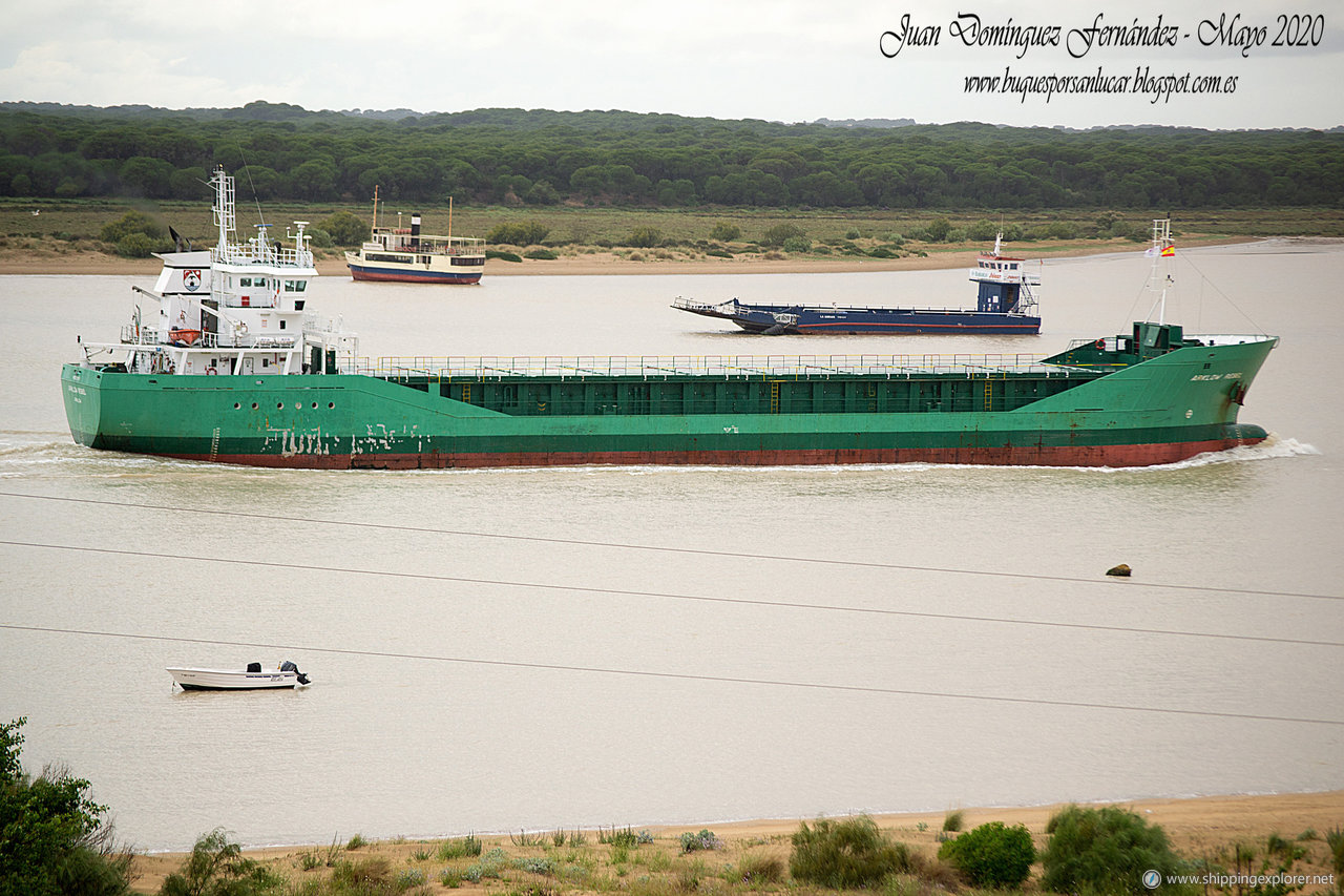 Arklow Rebel