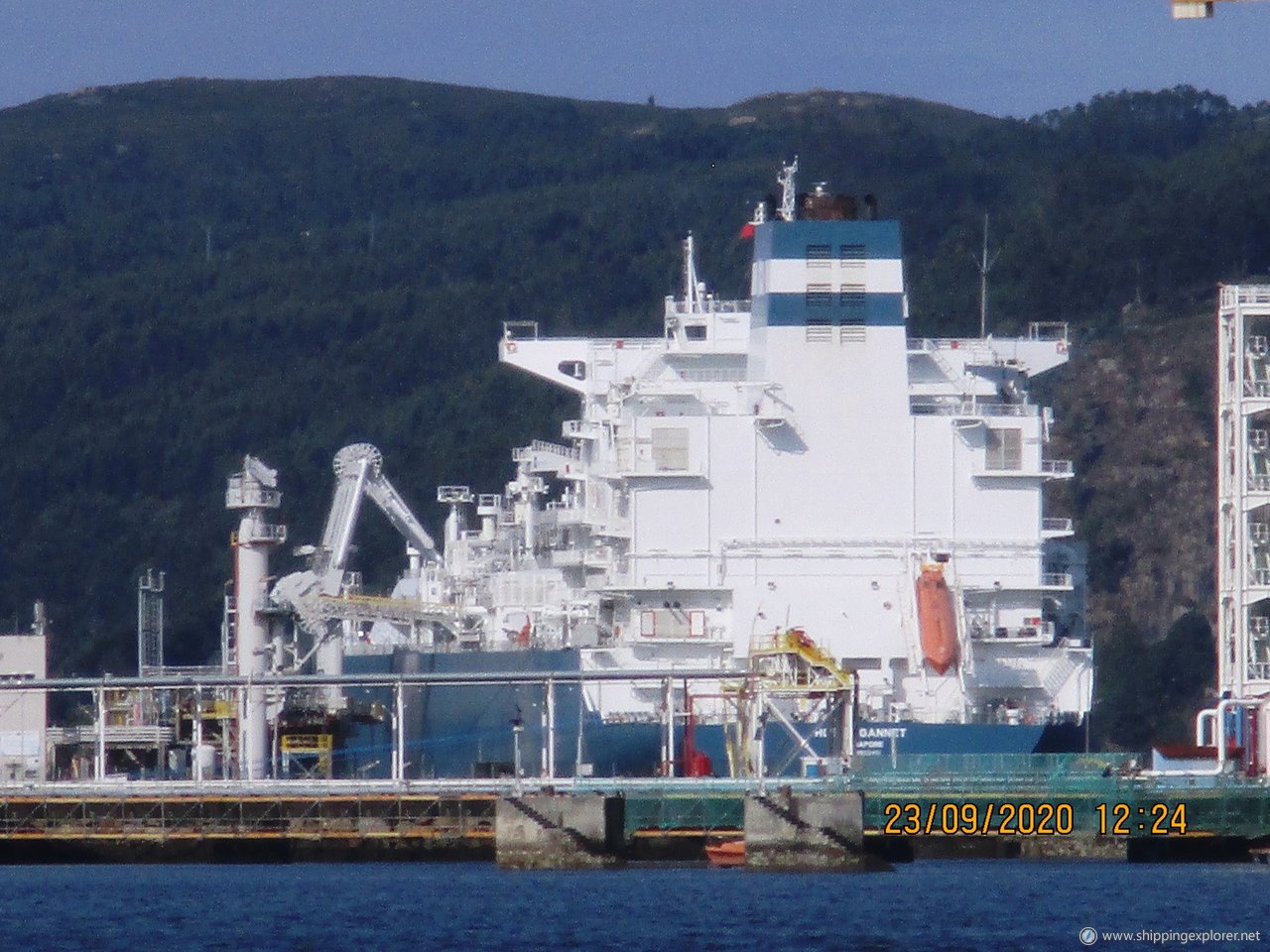 Hoegh Gannet