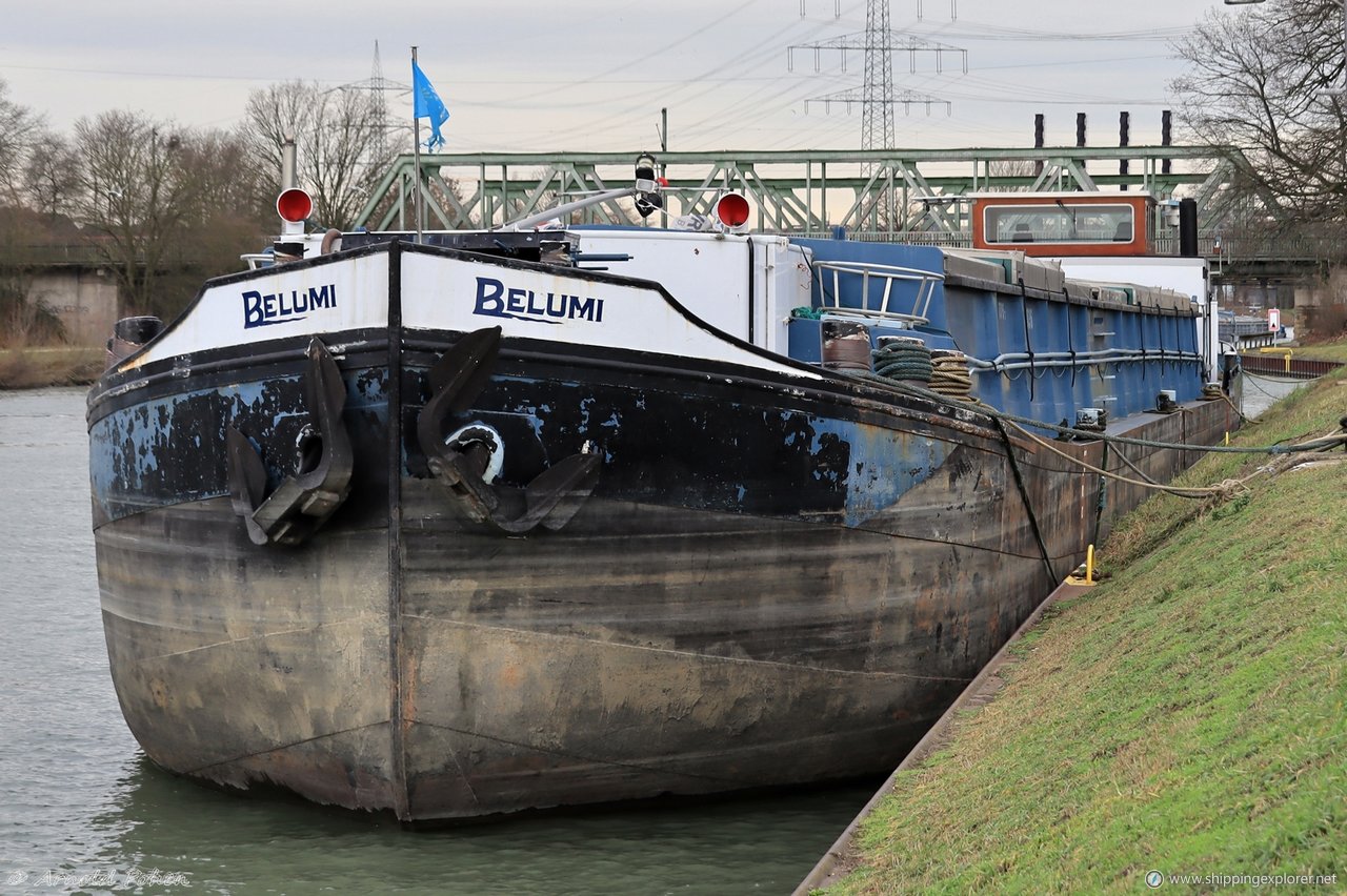 Belumi .