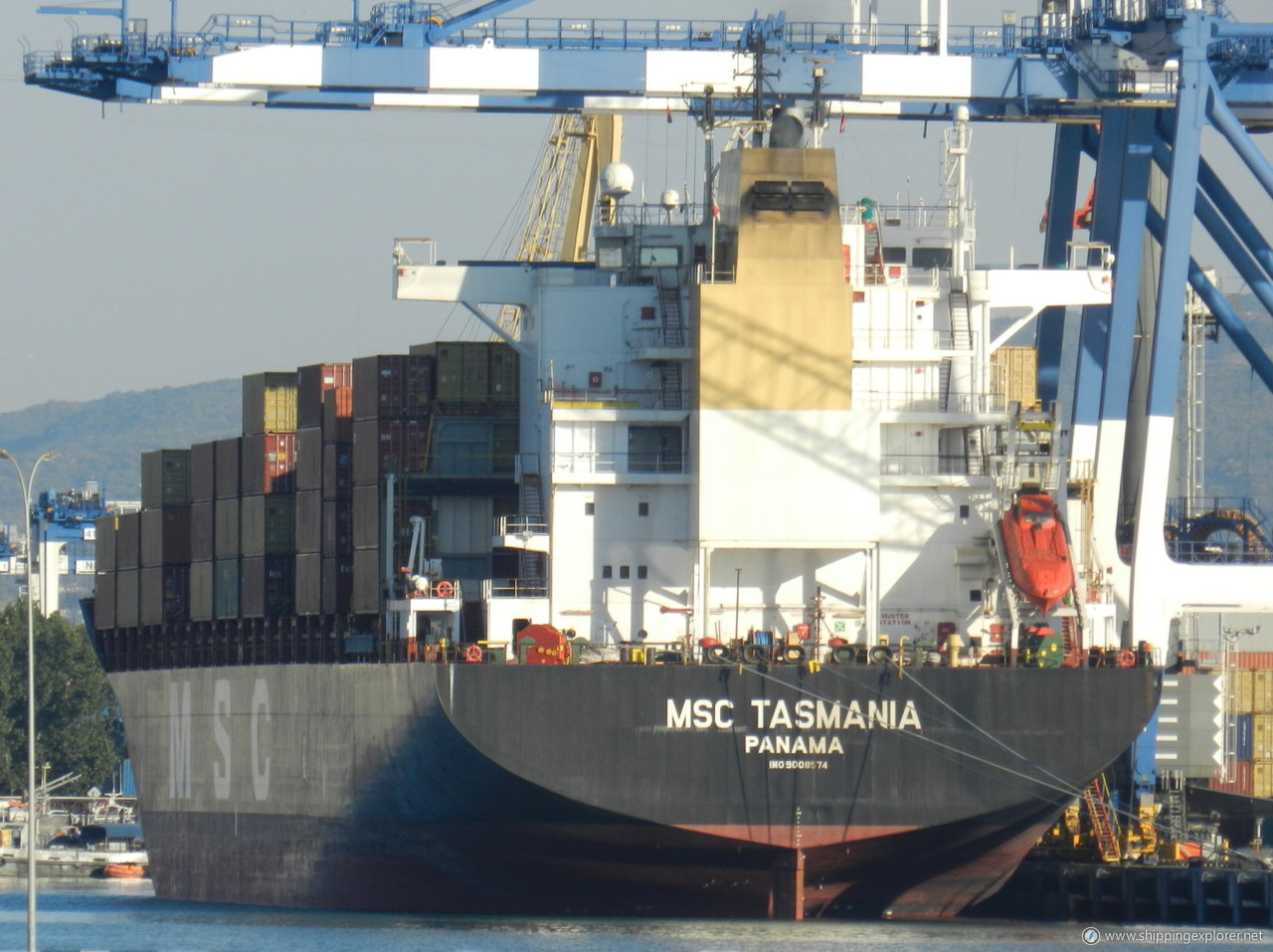 MSC Tasmania